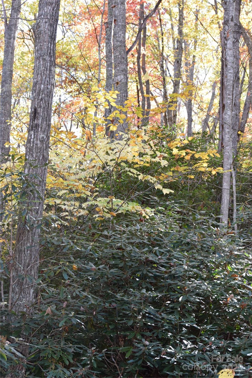 Land in Burnsville 3