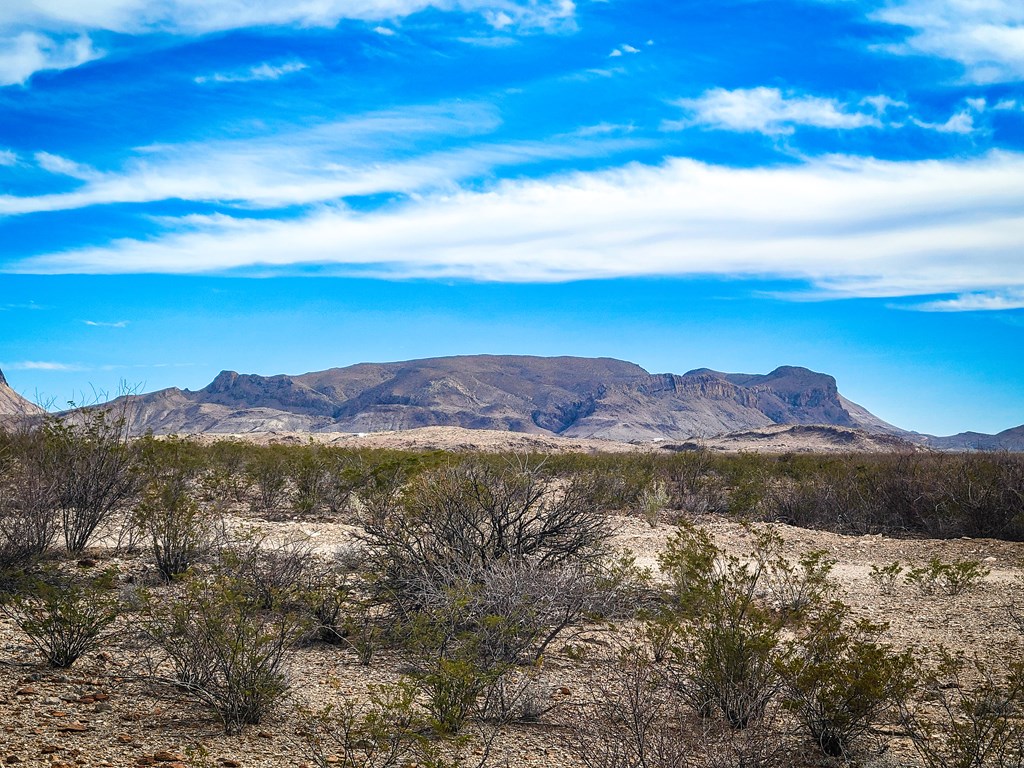 Land in Terlingua 4