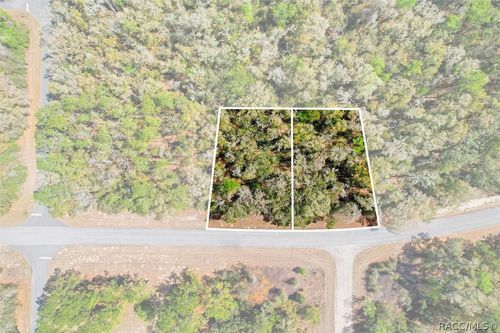 8987 N Alameda Drive, DUNNELLON, FL, 34434 | Card Image