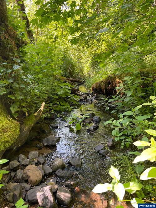 TA 213619 Rock Creek, Willamina, OR, 97396 | Card Image