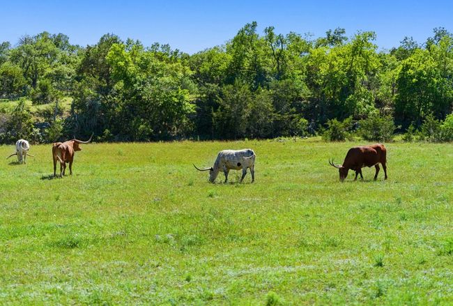 2401 W Fitzhugh Rd, House other with 3 bedrooms, 3 bathrooms and 3 parking in Dripping Springs TX | Image 35