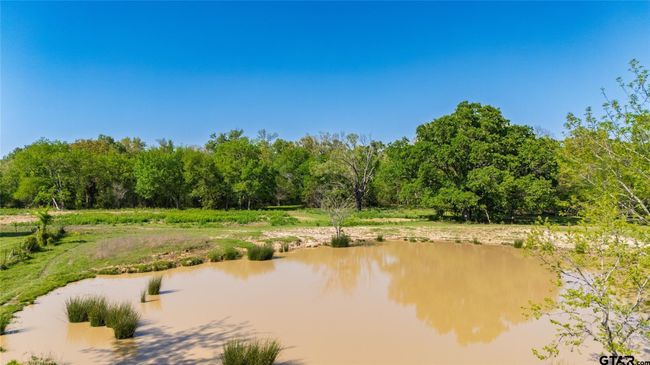 72 Acres N Farm Road 900, Home with 0 bedrooms, 0 bathrooms and null parking in Saltillo TX | Image 11