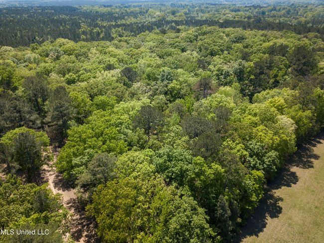 DJI_0515 | Image 41