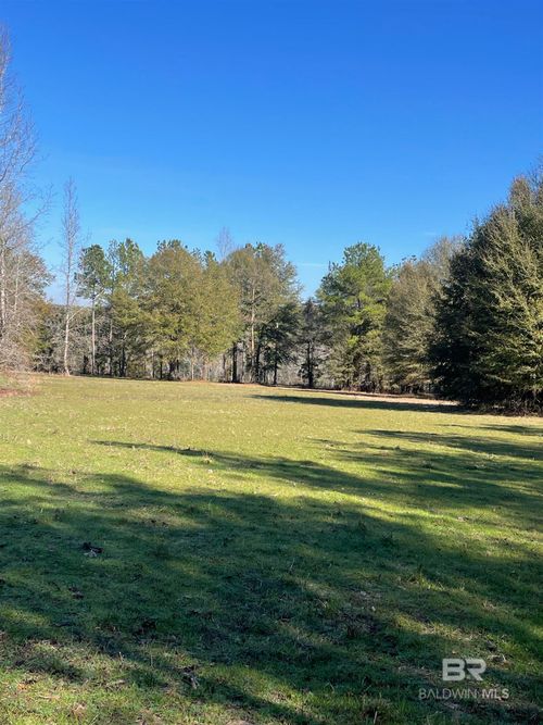 529 Sand Bottom Rd, Peterman, AL, 36471-4901 | Card Image