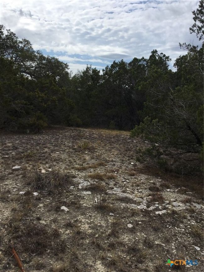 1 - 101 Stallion Estates Dr, Home with 0 bedrooms, 0 bathrooms and null parking in Spring Branch TX | Image 11
