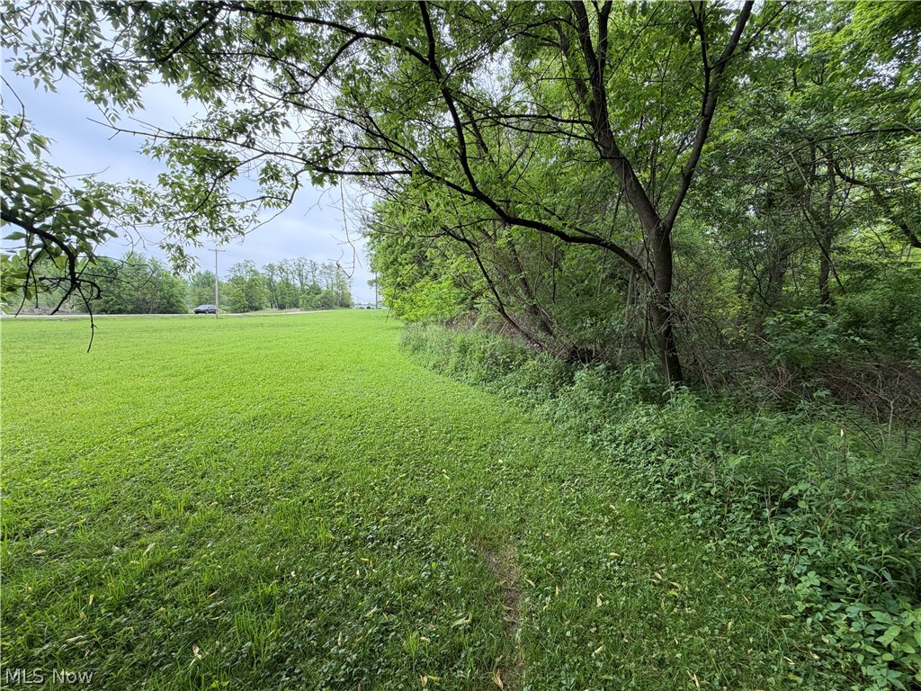 Land in Streetsboro 2