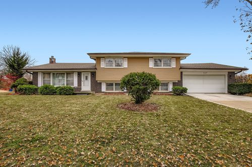 517 E Weathersfield Way, Schaumburg, IL, 60193-4307 | Card Image