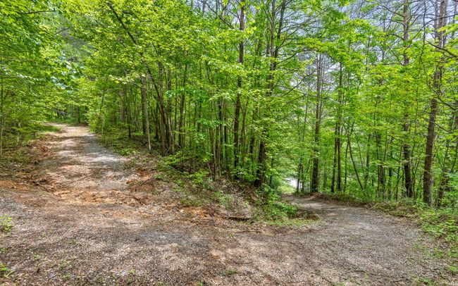 0 E Brow Rd, Home with 0 bedrooms, 0 bathrooms and null parking in Signal Mountain TN | Image 13