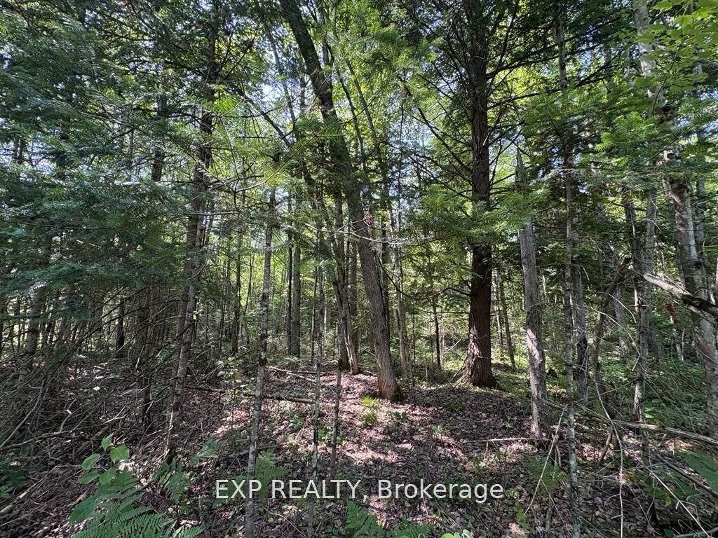 Residential in Alfred and Plantagenet 3