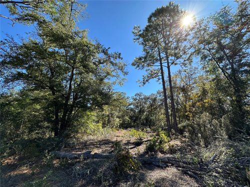 TBD 86th St, BRONSON, FL, 32621 | Card Image