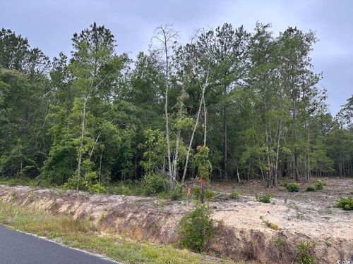3 Mcnabb Rd, Loris, SC, 29569 | Card Image