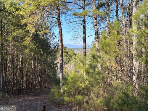 lot-2-west-2 WEST Dry Pond Rd, Ranger, GA, 30734 | Card Image