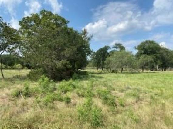 Land in Evant 5