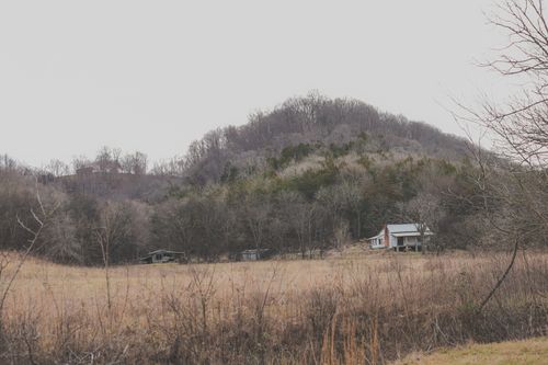 16431 Wallace Hollow Rd, Buffalo Valley, TN, 38548-1001 | Card Image