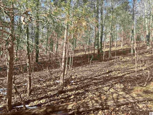 lots 34&amp;35 Canton Heights 2, Cadiz, KY, 42211 | Card Image