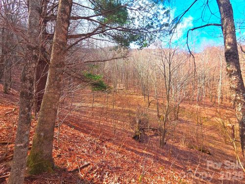 tr5-250 Rome Beauty Road, Waynesville, NC, 28785 | Card Image