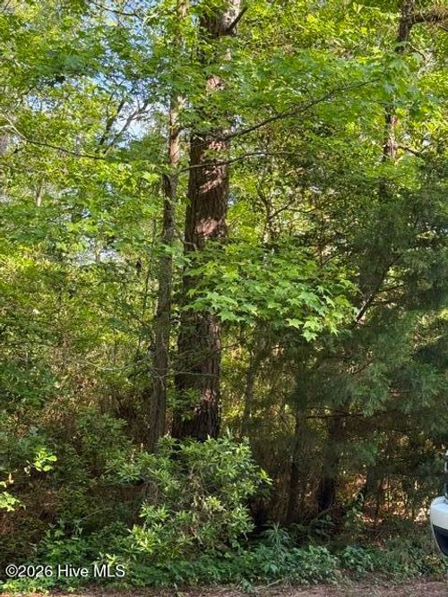 103 Emerson Ct, Hampstead, NC, 28443-3494 | Card Image