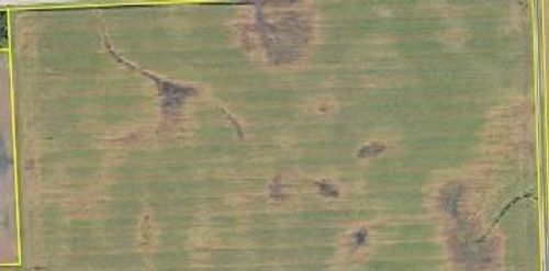 14409 560th Ave, Donnelly, MN, 56235-1079 | Card Image