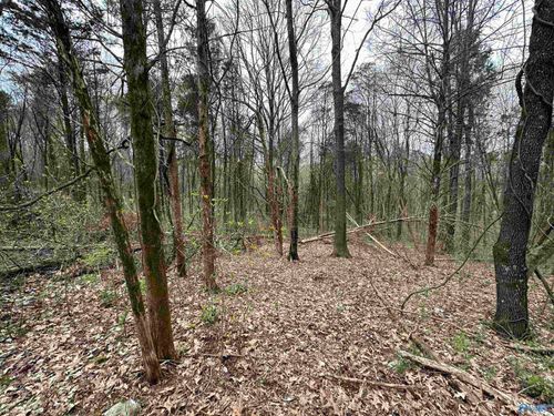 3 Acres Carters Gin Rd, Toney, AL, 35773 | Card Image