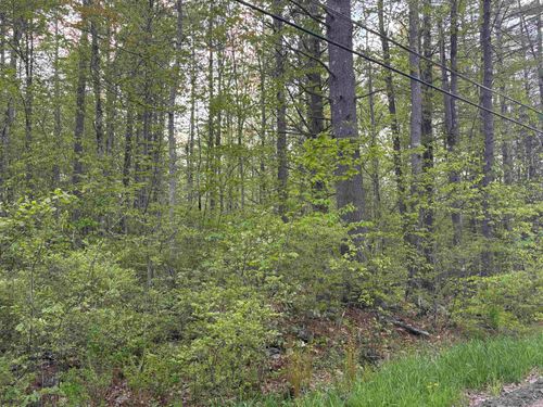 Lot 80 Currier Rd, Candia, NH, 03034-2024 | Card Image