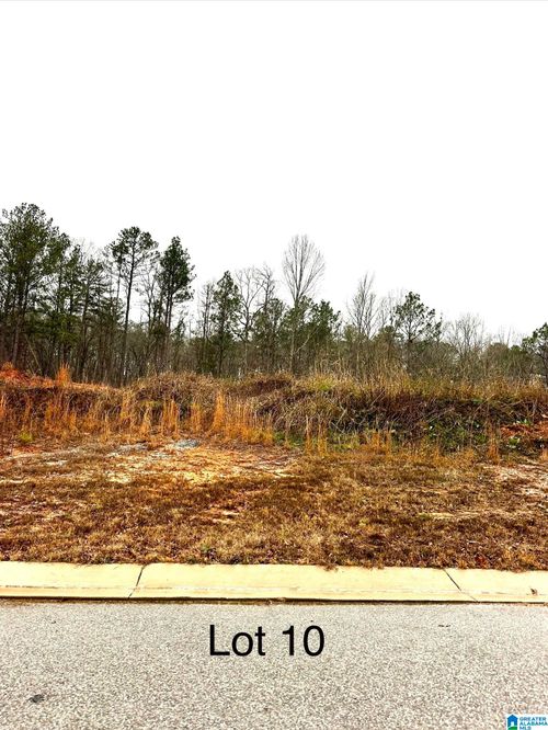 10-219 Olivia Lane, Woodstock, AL, 35188 | Card Image