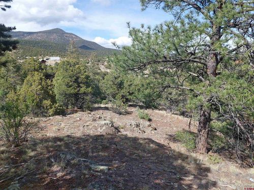 275 Wild Horse Trl, South Fork, CO, 81154 | Card Image