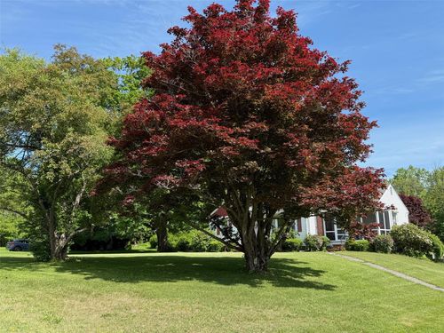 201 Beilke Rd, Millerton, NY, 12546-4942 | Card Image