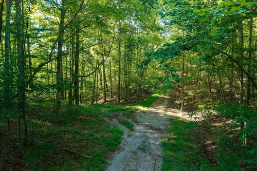 140 Floyd Dr, Smithville, TN, 37166 | Card Image