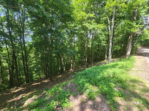 3 Savannah Dr, Smithville, TN, 37166 | Card Image