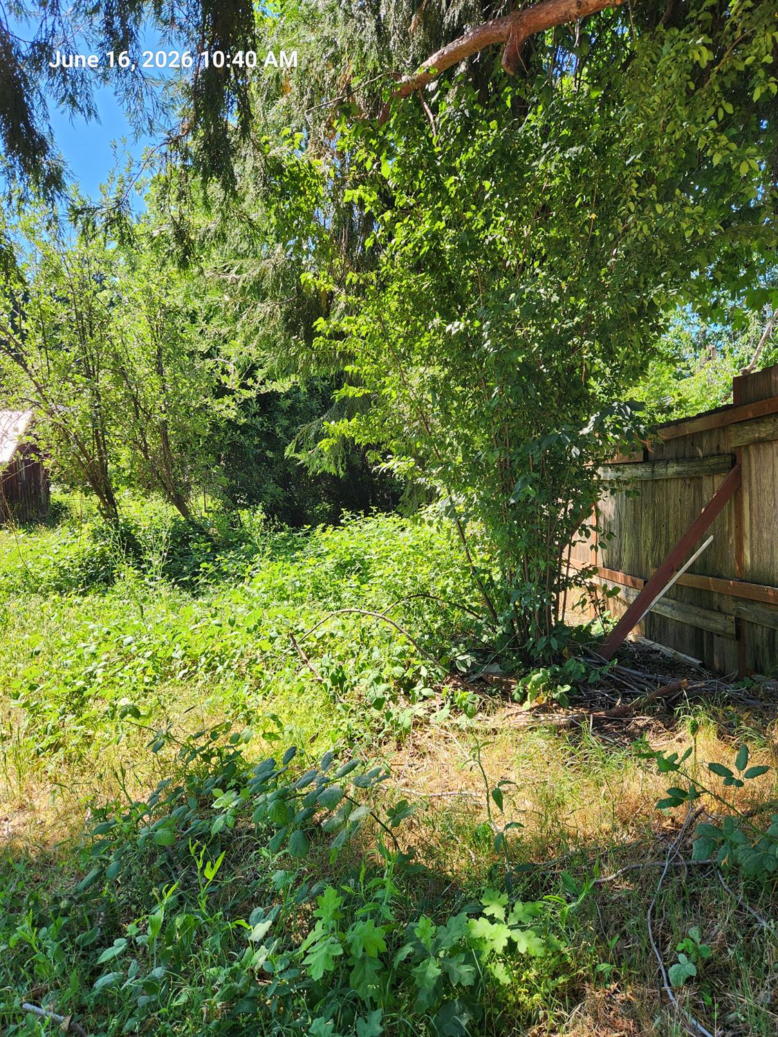 Land in Grass Valley 4