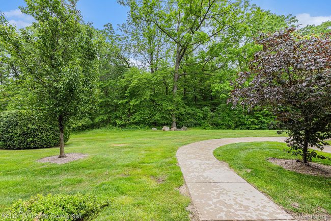 Walking path | Image 16