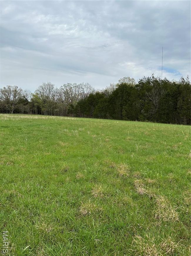 0 Butcher Branch Rd, Home with 0 bedrooms, 0 bathrooms and null parking in Hillsboro MO | Image 4