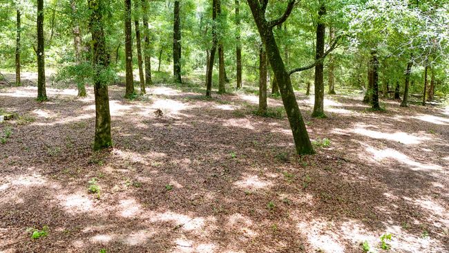 DJI_20240825230752_0117_D | Image 40
