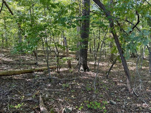 Lot 411 Smith Rd, Spring City, TN, 37381 | Card Image