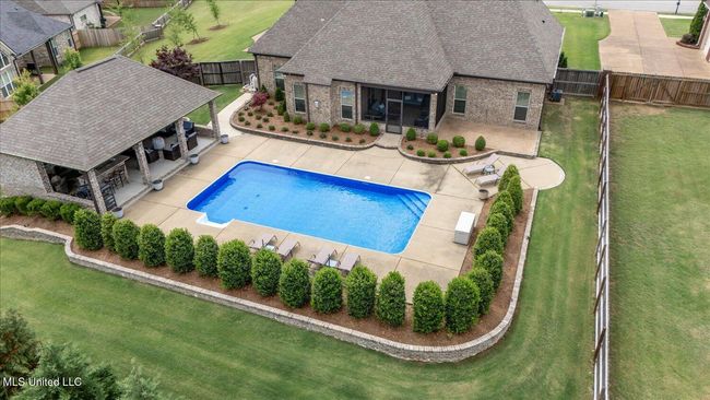 Elevated Rear yard | Image 61
