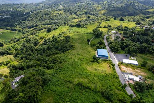 00 917 Street, Las Piedras, PR, 00771 | Card Image