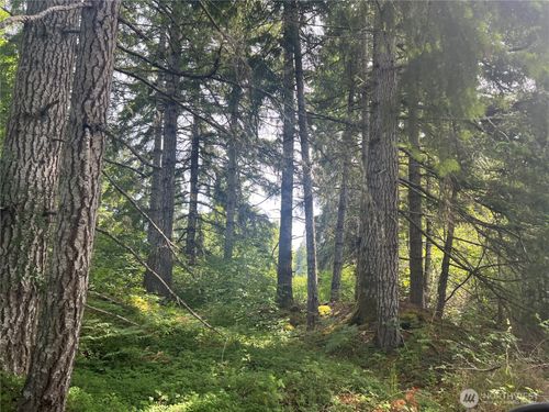 2230 Beverly Blvd, Shelton, WA, 98584-2883 | Card Image