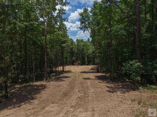0000 County Road 4452, Bivins, TX, 75555 | Card Image