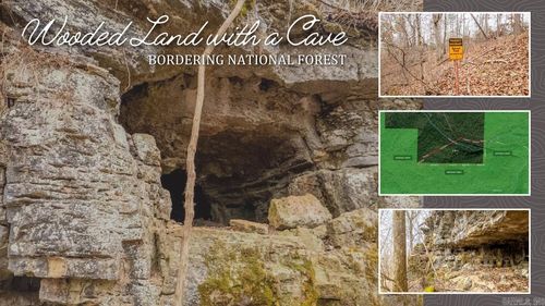 000 County Road 19-A, Alton, MO, 65606 | Card Image