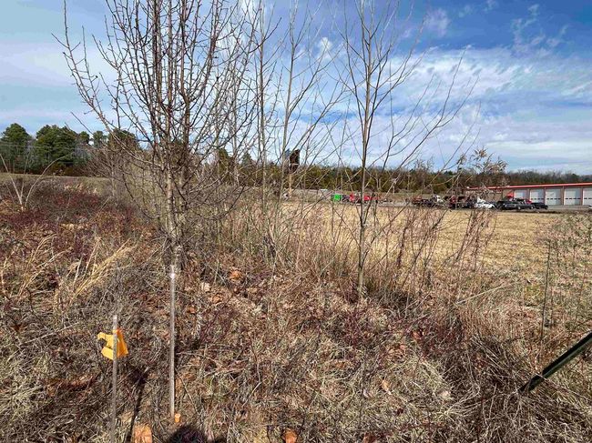 278 C Highway 64 E, Home with 0 bedrooms, 0 bathrooms and null parking in Conway AR | Image 12