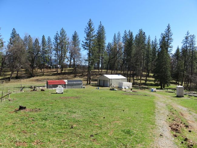 4196 Bald Mountain Rd, Home with 0 bedrooms, 0 bathrooms and null parking in West Point CA | Image 6