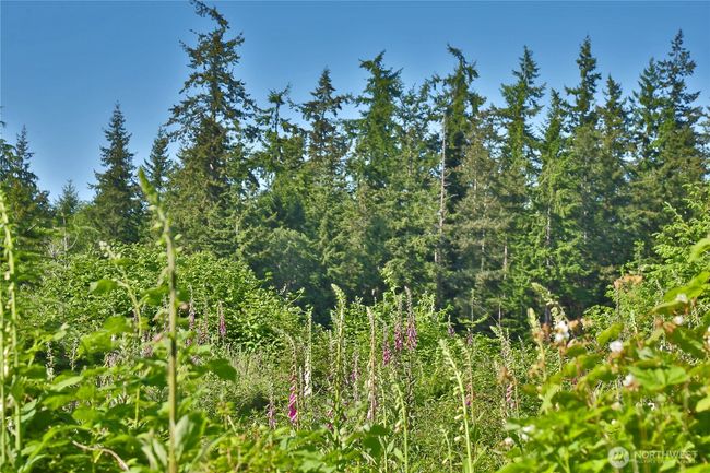 2062 Goodell Rd, Home with 0 bedrooms, 0 bathrooms and null parking in Freeland WA | Image 23