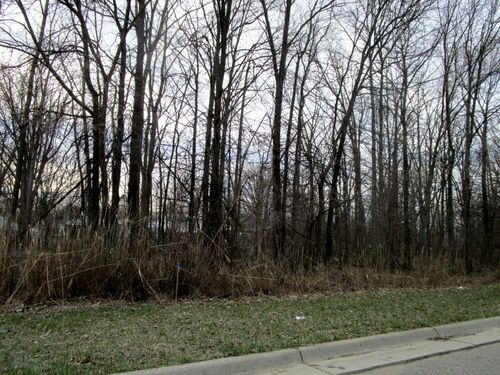 Vacant Lange Avenue, Brownstown Charter Township, MI, 48174 | Card Image