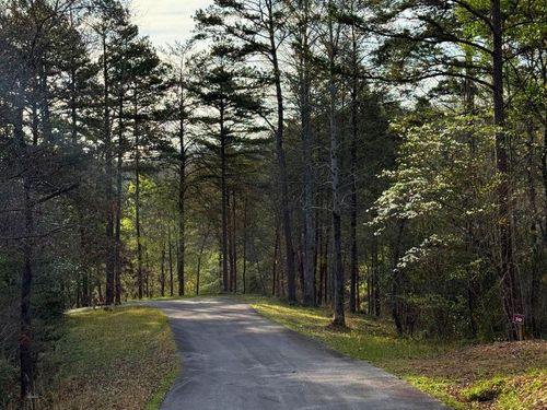 Lot 30 Brasstown, Brasstown, NC, 28902 | Card Image