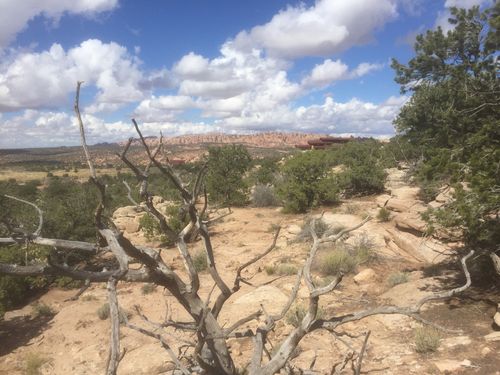 11-187 Bridger Jack Trl, Moab, UT, 84532-3919 | Card Image