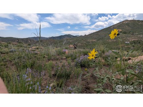 1324 Meadow Mountain Dr, Livermore, CO, 80536 | Card Image