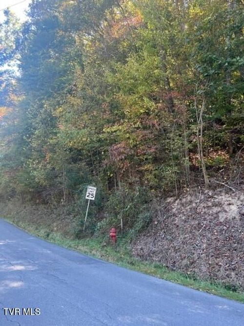 0 Cave Springs/Elytown Road, Pennington Gap, VA, 24277 | Card Image