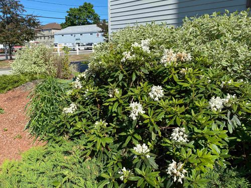 205-7 Railroad Ave, Derry, NH, 03038-2587 | Card Image
