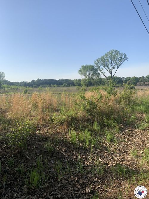 tract-1-4.94 Acres Mount Olive, Texarkana, AR, 71854 | Card Image