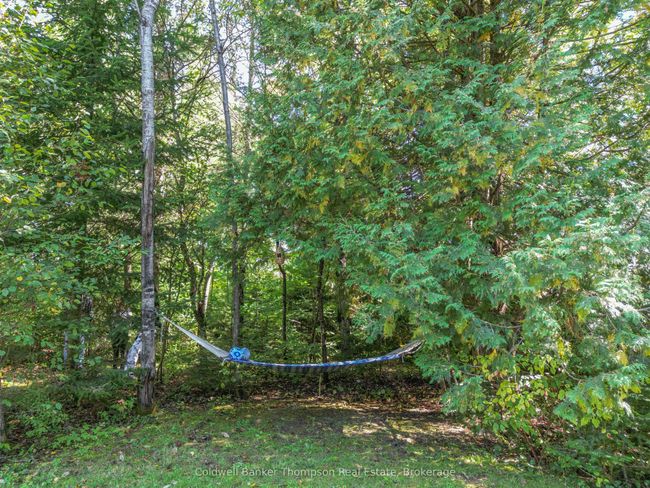 1078 Bellwood Acres, House other with 2 bedrooms, 2 bathrooms and 8 parking in Dorset ON | Image 33